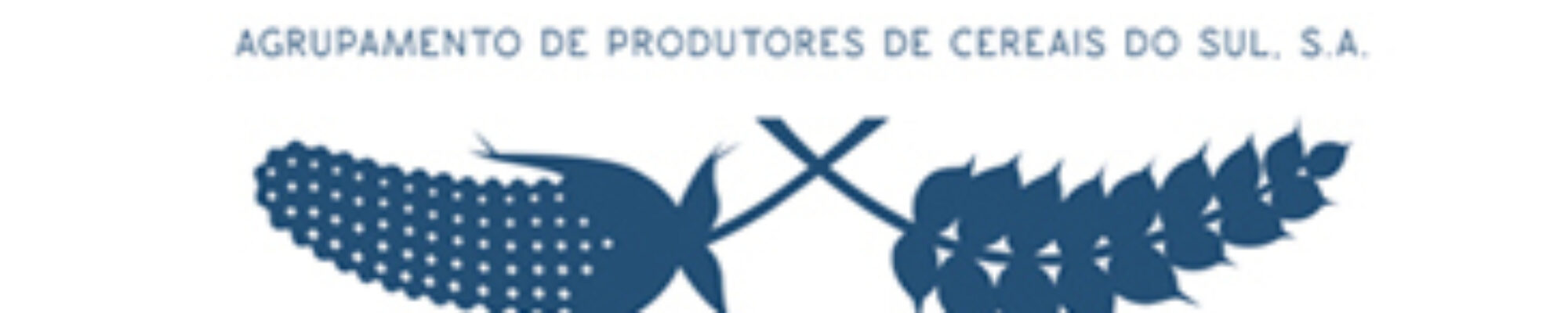 logo_top_cersul.jpg