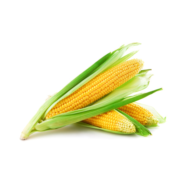 milho-verde.png