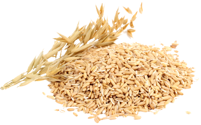 oat-pile.png